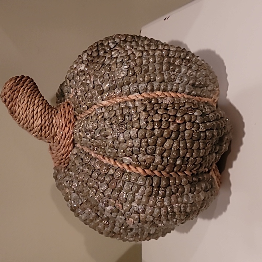 Seashell pumpkin